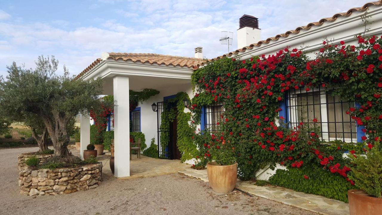 Finca El Romeral Alpera Zewnętrze zdjęcie