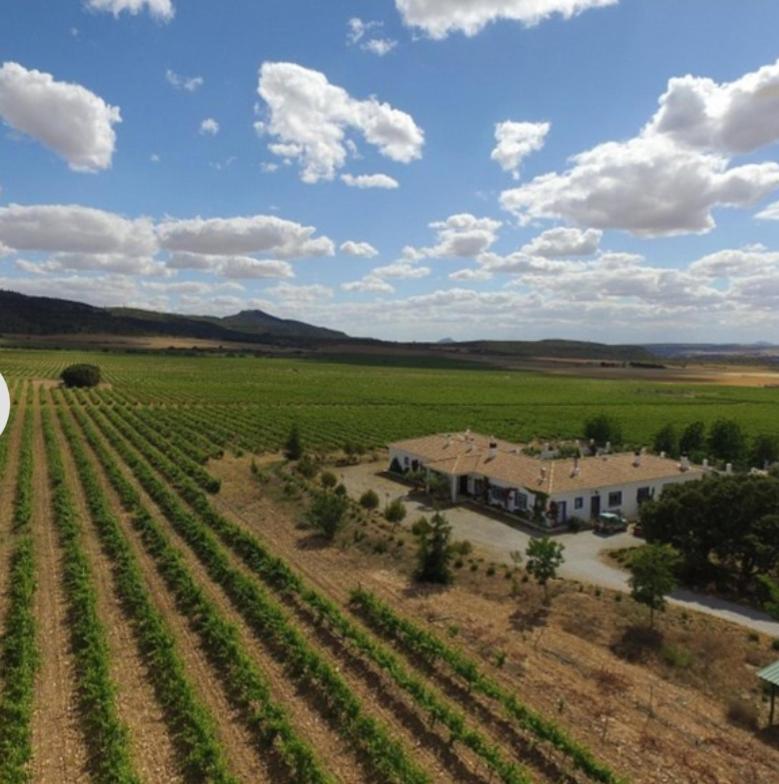 Finca El Romeral Alpera Zewnętrze zdjęcie