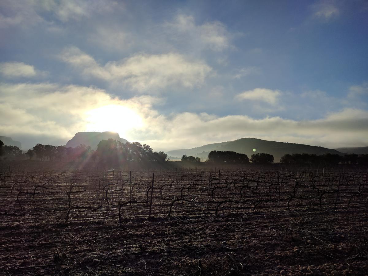 Finca El Romeral Alpera Zewnętrze zdjęcie