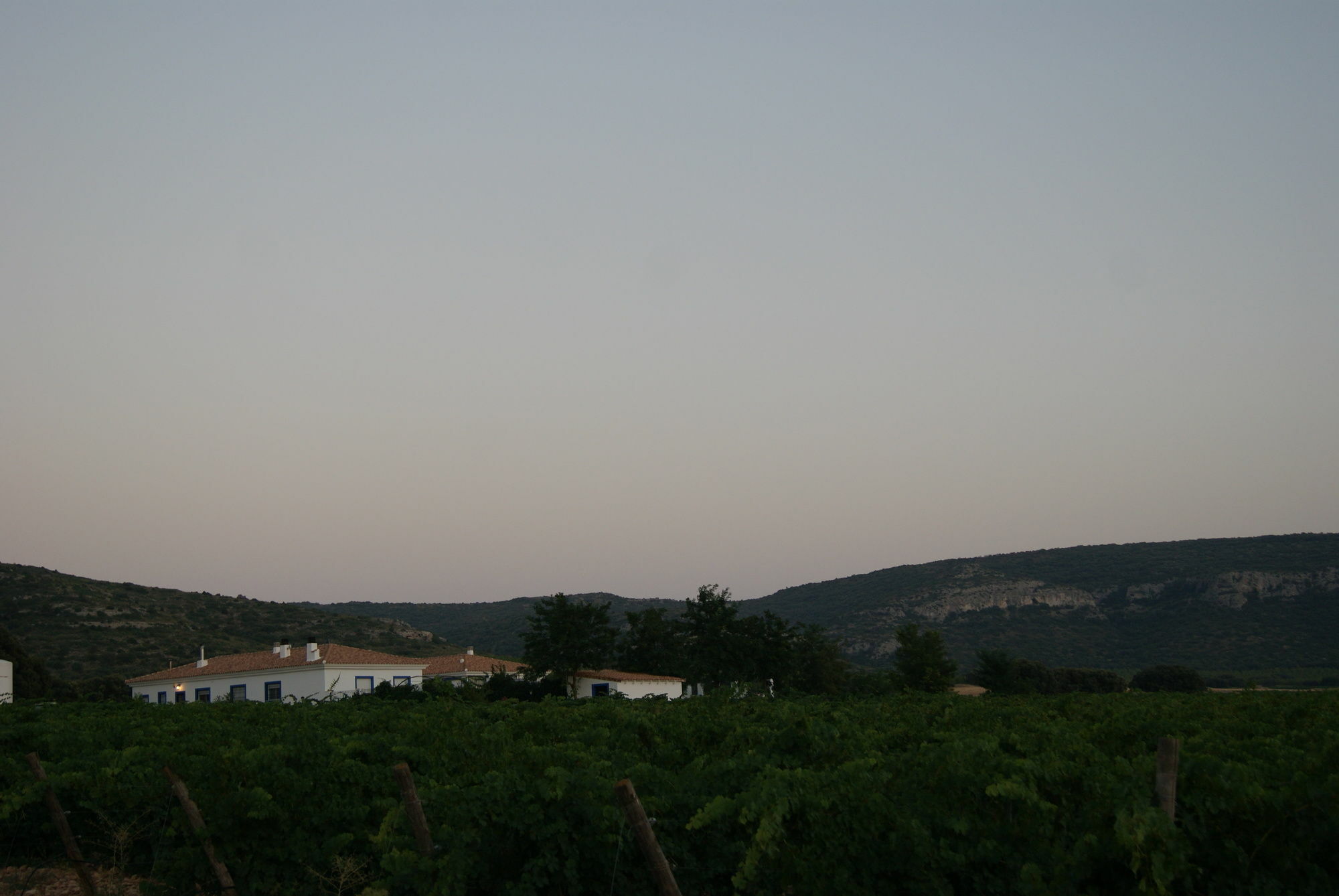 Finca El Romeral Alpera Zewnętrze zdjęcie