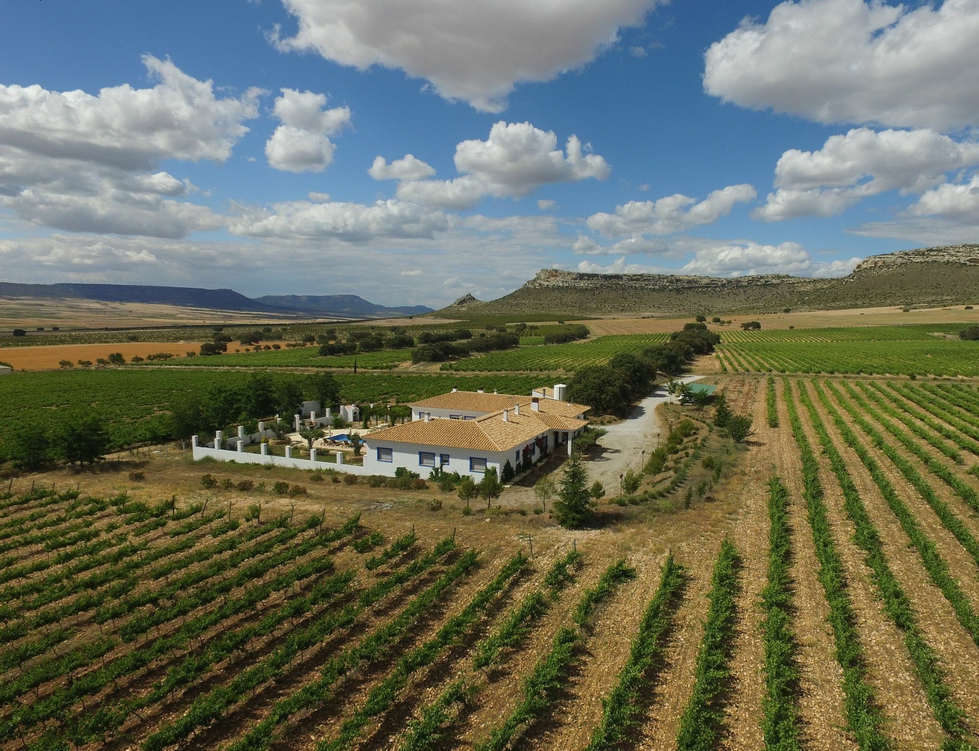 Finca El Romeral Alpera Zewnętrze zdjęcie