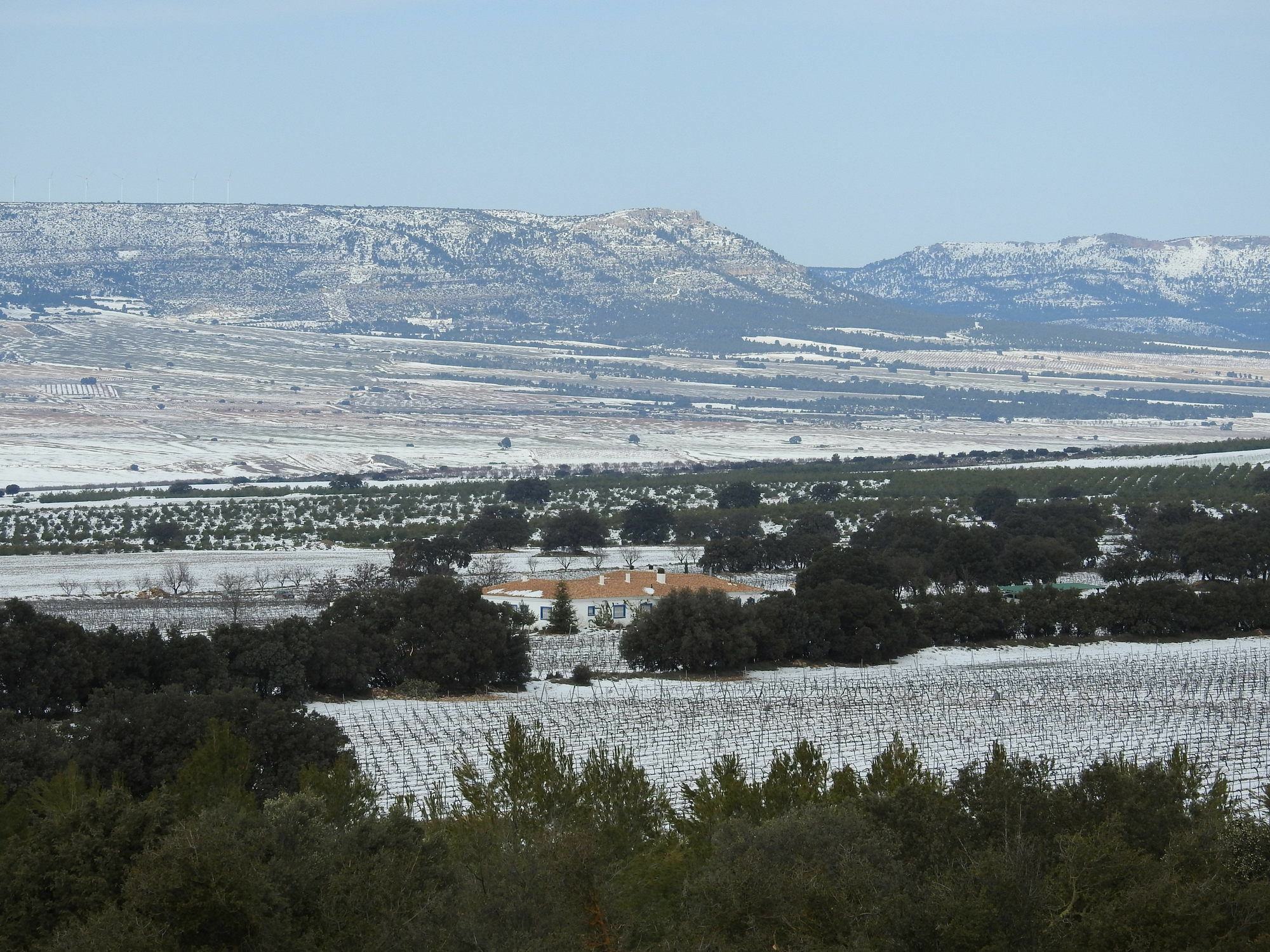 Finca El Romeral Alpera Zewnętrze zdjęcie